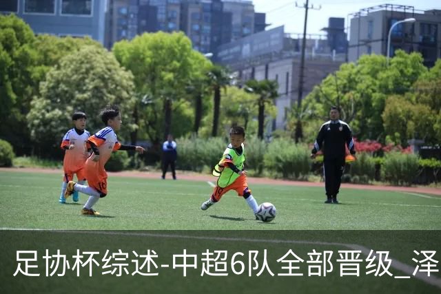 足协杯综述-中超6队全部晋级 泽卡戴帽泰山5-0 成都队4-0